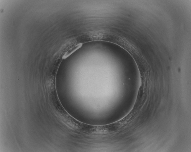 X0000074940601200609081353