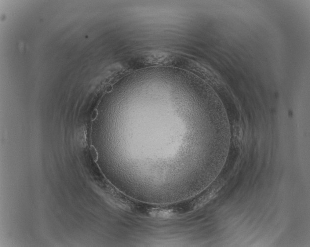 X0000074940602200609081353