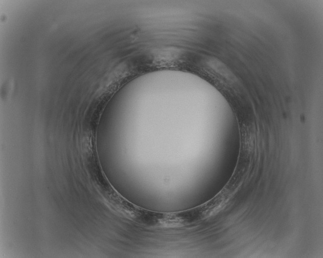 X0000074940603200609081353