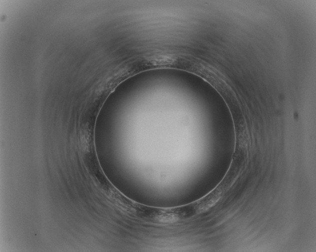 X0000074940604200609081353