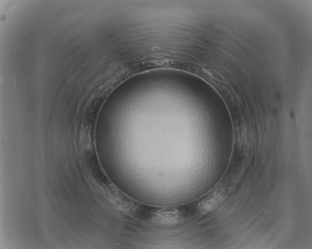 X0000074940606200609081353