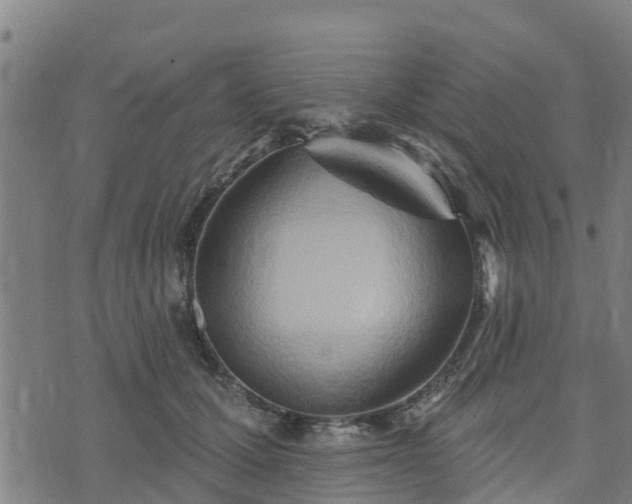 X0000074940607200609081353