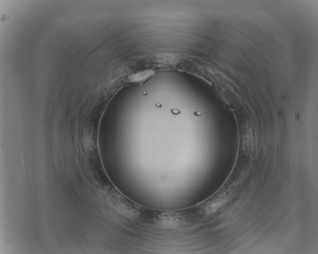 X0000074940608200609081353