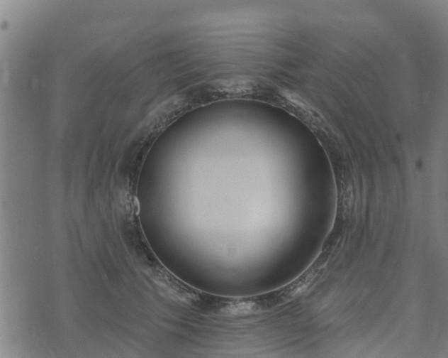 X0000074940609200609081353