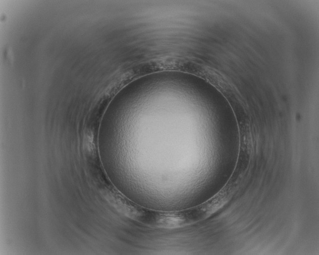 X0000074940610200609081353