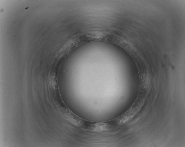 X0000074940612200609081352