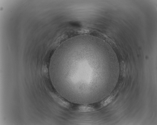 X0000074940614200609081352