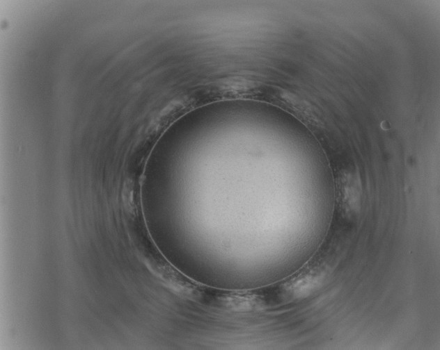 X0000074940615200609081352