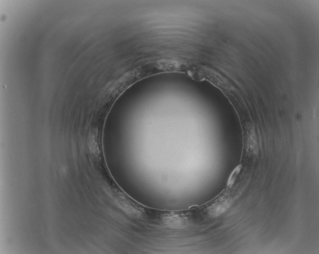 X0000074940616200609081352