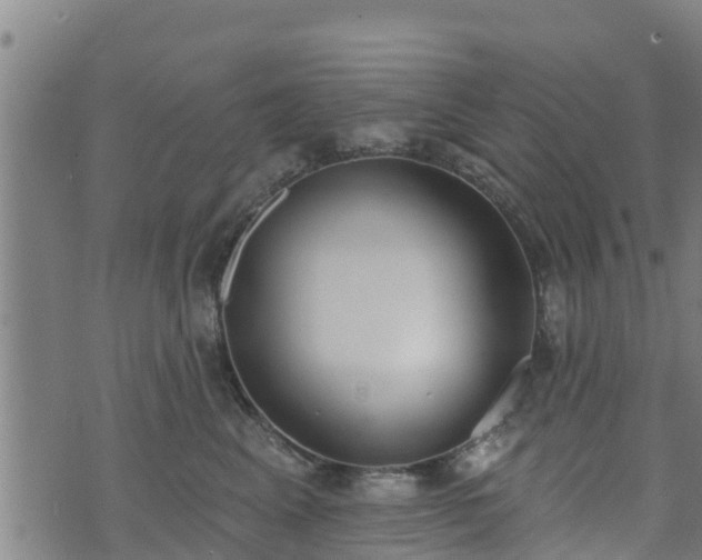 X0000074940617200609081352