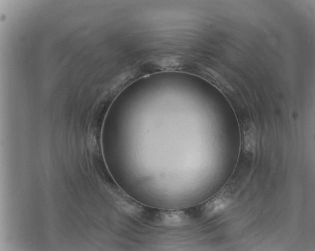 X0000074940618200609081352