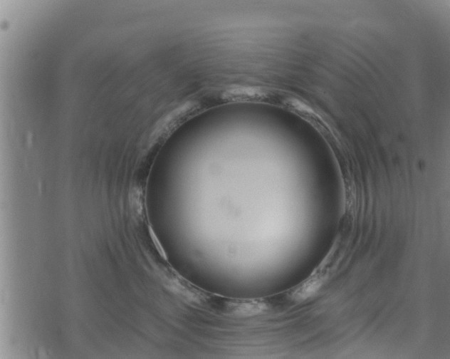 X0000074940621200609081352