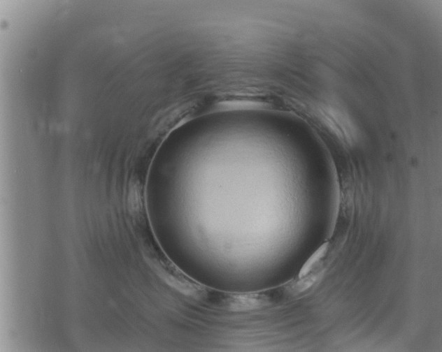 X0000074940623200609081352