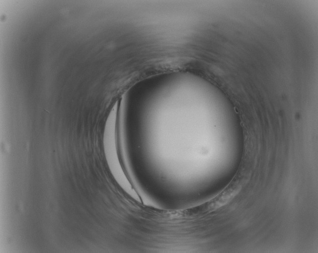 X0000074940624200609081352