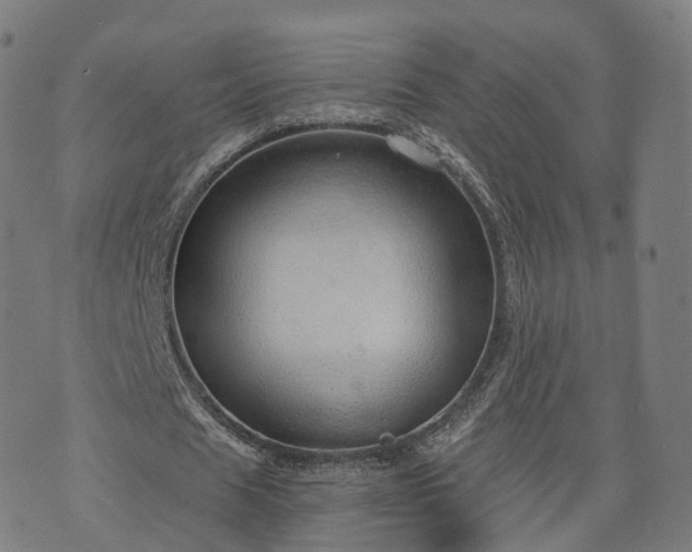 X0000074940625200609081352