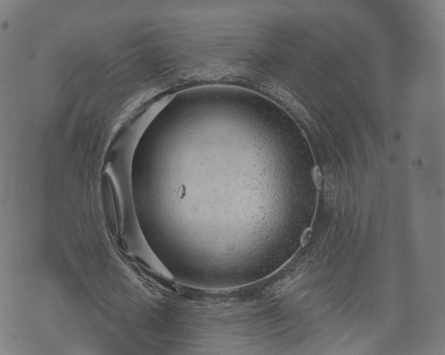 X0000074940626200609081352