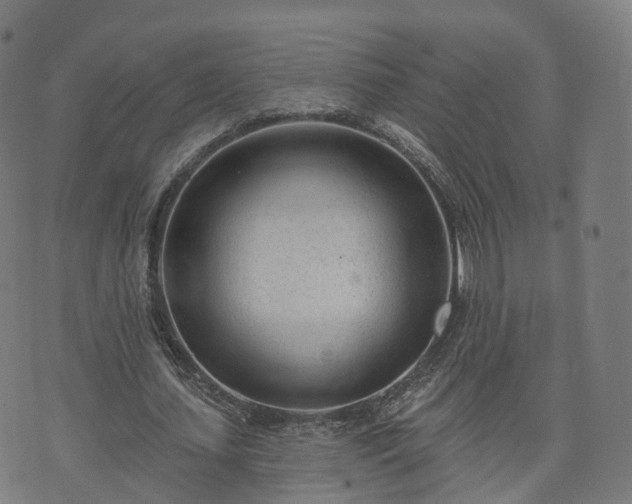 X0000074940627200609081352