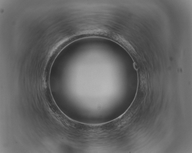 X0000074940628200609081352