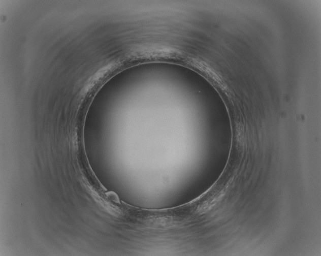 X0000074940629200609081352