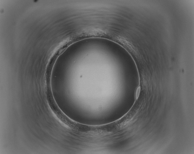 X0000074940630200609081352