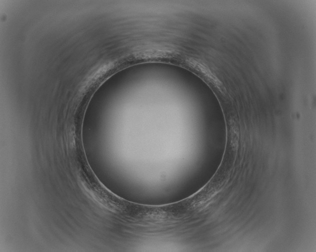 X0000074940631200609081352