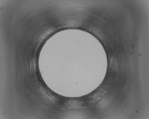 X0000074940632200609081352