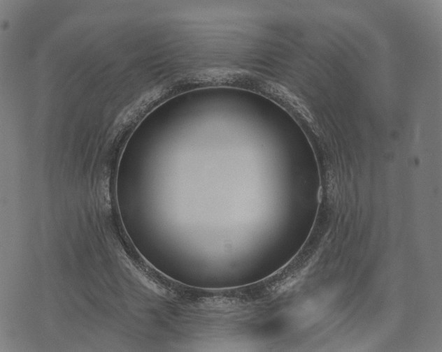 X0000074940633200609081352