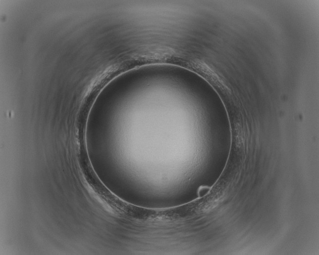 X0000074940634200609081352