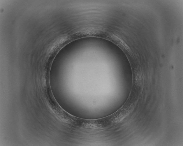 X0000074940635200609081352