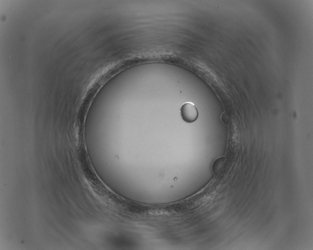 X0000074940636200609081352