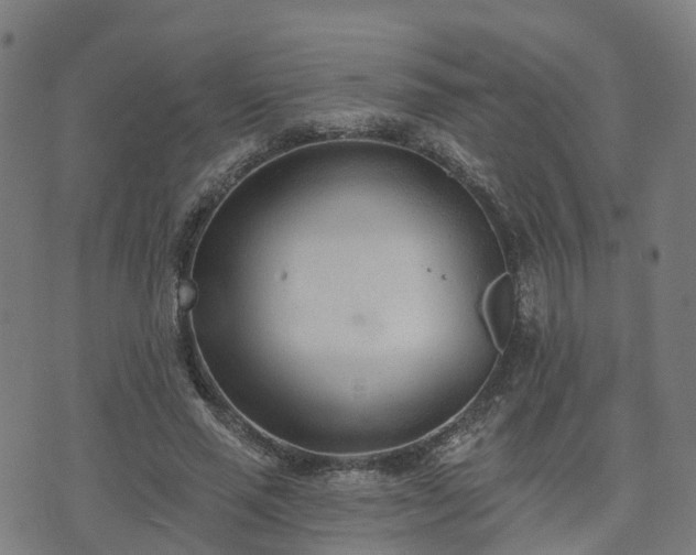 X0000074940637200609081352