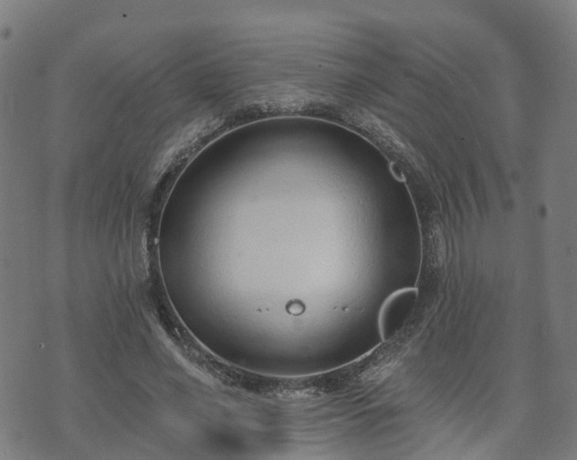 X0000074940638200609081352