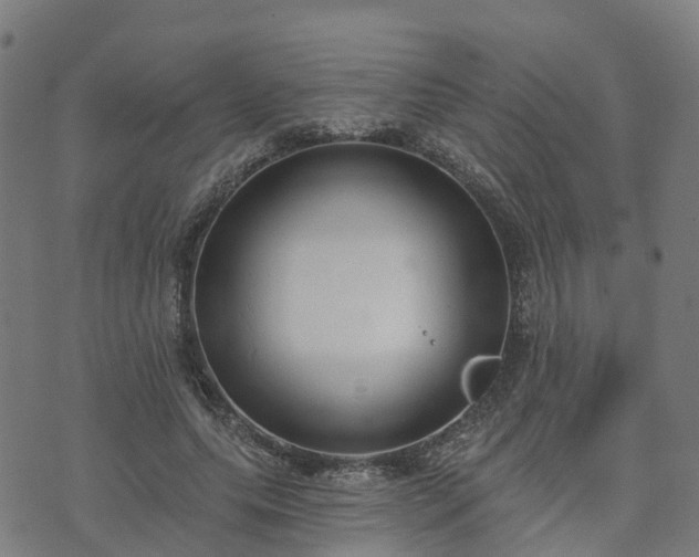 X0000074940639200609081352