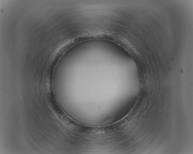 X0000074940640200609081352