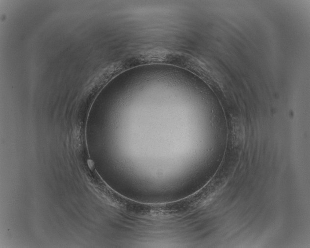 X0000074940641200609081352