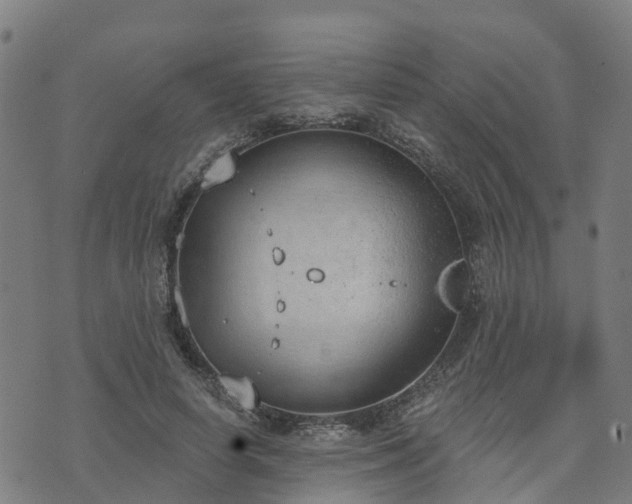 X0000074940642200609081352