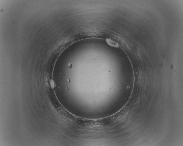 X0000074940643200609081352