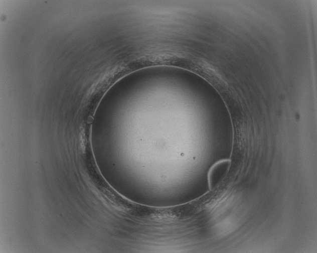 X0000074940644200609081352