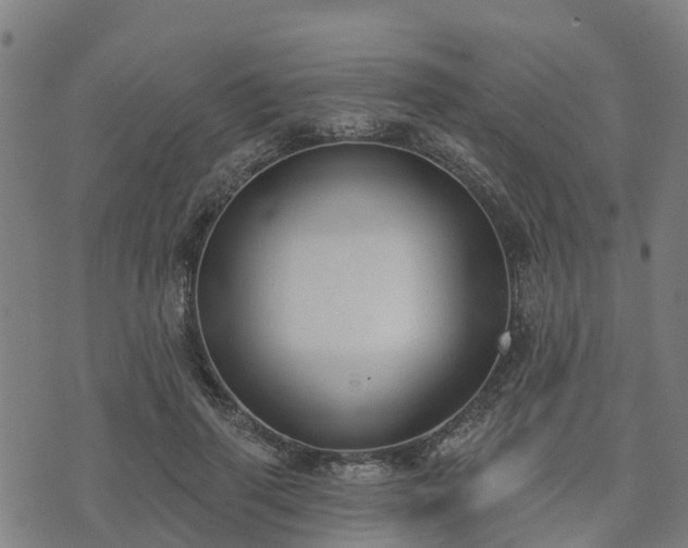 X0000074940645200609081352