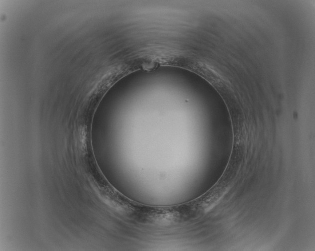 X0000074940646200609081352