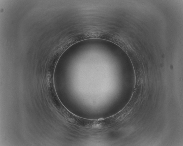 X0000074940647200609081352