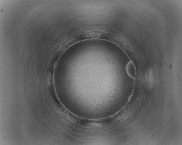 X0000074940649200609081352