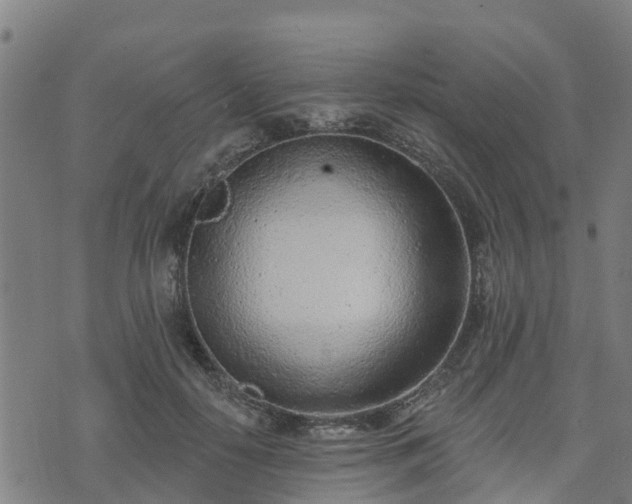 X0000074940650200609081352