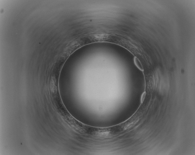 X0000074940651200609081352