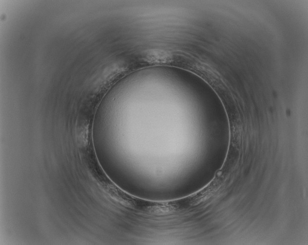 X0000074940652200609081352