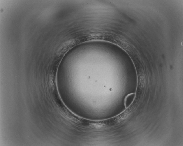 X0000074940654200609081352