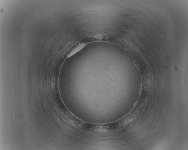 X0000074940656200609081352