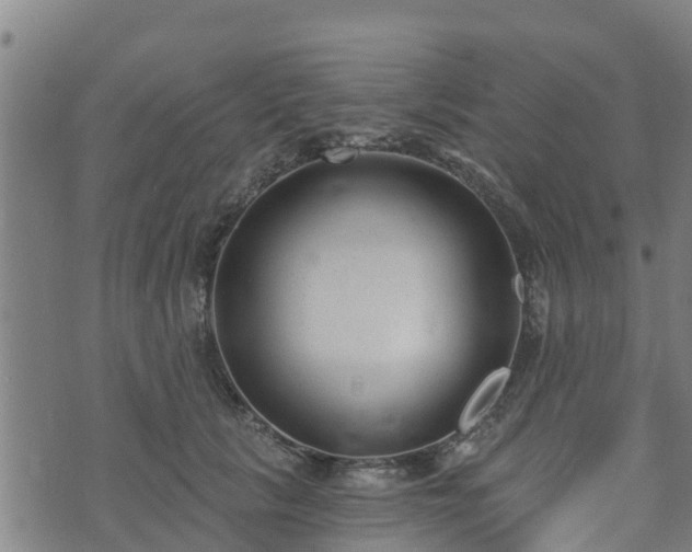 X0000074940657200609081352