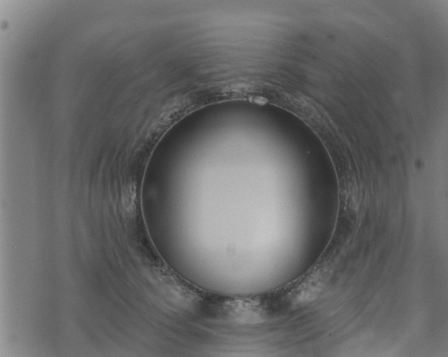 X0000074940660200609081352