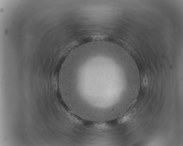 X0000074940666200609081352